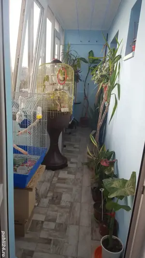 Vand ap 2 cam schimb cu ap 4 camCostin Georgian 7 10,1979 semidecomandat