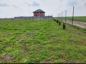 Inchiriez teren intravilan in Adunatii Copaceni 1200mp