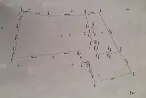 Stirbei Voda-Parcul Operei-Cotroceni - imagine 3
