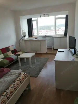 Garsoniera, zona Garii