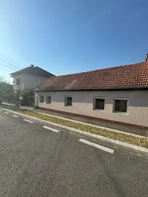 Vand schimb casa in Buziaș