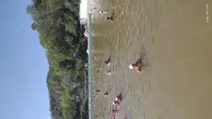 Teren 553 mp ,cu casa bătrânească Gostinu(Giurgiu) - imagine 3