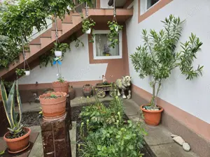 Vând casa plus magazin  - imagine 4 Vând casa plus magazin  - imagine 4