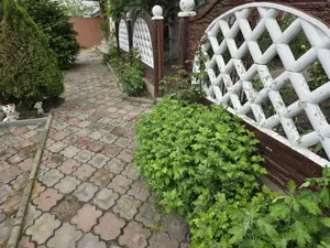 Vând casa plus magazin  - imagine 6 Vând casa plus magazin  - imagine 6