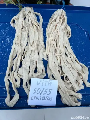 Mațe porc,vită,oaie,crenvuști,tobă,salam - imagine 2