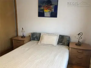 Casa individuala, Central 5 Camere si 3 Grupuri sanitare - imagine 14