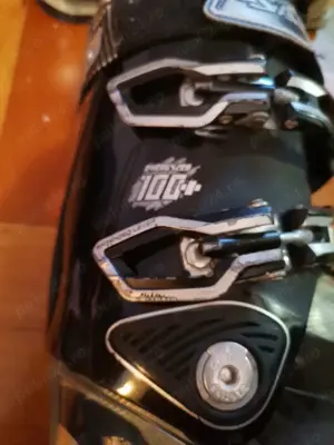 clapari Salomon IMPACT