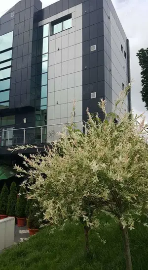 Vand imobil P+3 comercial, birouri, 490mp., central Cina   Rm Valcea - imagine 4