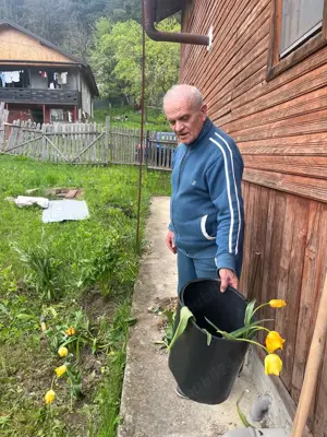 Doresc Urgent ajutor menaj din partea unei doamne vârsta 45-65 ani, la mine. Ofer cazare gratis. - imagine 4