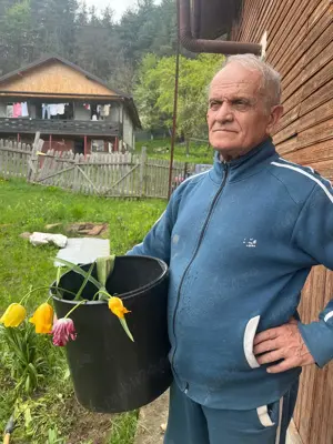 Ajutor menaj,part-time. - imagine 4