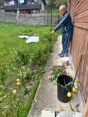 Ajutor menaj,part-time.