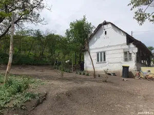 se vinde casa in petrilaca turda