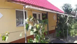 De vâ nzare 2 case renovate la Paleu! AGENTIILE IMOBILIARE SĂ NU SUNE!