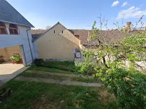 Casa Beius Finis 15 camere - imagine 6