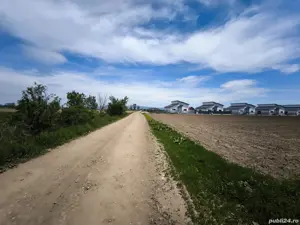 Terenuri de vânzare Hălchiu, Brașov, zonă de case noi. - imagine 4