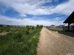 Terenuri de vânzare Hălchiu, Brașov, zonă de case noi.