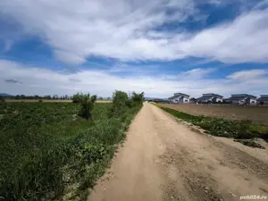 Terenuri de vânzare Hălchiu, Brașov, zonă de case noi. - imagine 3