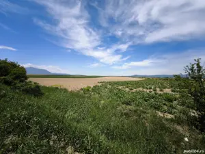 Terenuri de vânzare Hălchiu, Brașov, zonă de case noi. - imagine 5