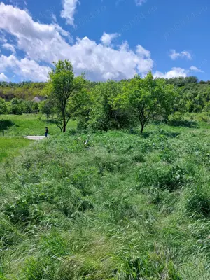 Vând teren intravilan, 2170 mp., sat Morău, com. Cornești, jud. Cluj, intabulat cu utilități - imagine 9