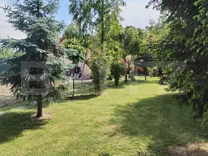 Vila la cheie, Zona Amati, 1241 mp teren - imagine 16