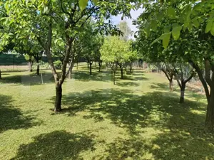 Vila la cheie, Zona Amati, 1241 mp teren - imagine 17