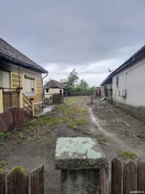 Casă în Medieșu Aurit Str Sf Ioan