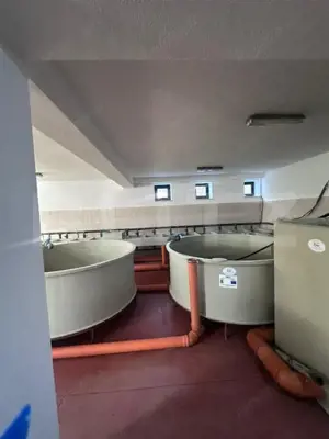 Pensiune/Ferma pescicola la cheie, teren 4000 mp, zona Molid, 0% comision - imagine 5