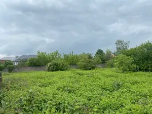 Islaz - Branesti - teren 1374mp - canalizare - gaze - curent - asfalt