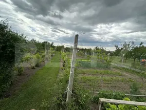 Casa individuala cu 3 camere si teren 1800,Galda de jos - imagine 13