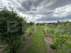 Casa individuala cu 3 camere si teren 1800,Galda de jos - imagine 14