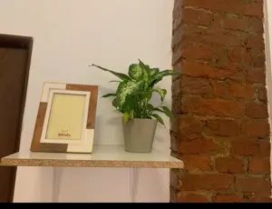 CI545 Centru-Libertatii,1camera,istoric - imagine 11