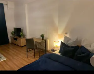 CI545 Centru-Libertatii,1camera,istoric - imagine 6