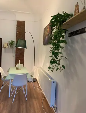 CI545 Centru-Libertatii,1camera,istoric - imagine 17