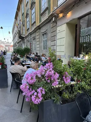 Cautam spaltor de vase