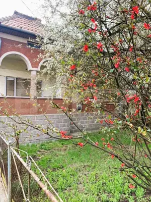 Casa renovabila, teren 4400 mp, Tureni