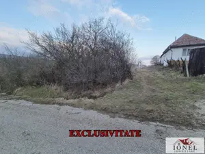 Teren intravilan 2000 mp de vanzare in Henig