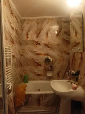 Apartament Grigore ureche piatra neamț Dărmănești  - imagine 3