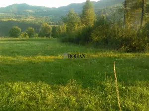 Teren intravilan 5360mp Bistrita Nasaud | Tiha Bârgăului