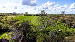 Vând casă în Chesinț, com. Zăbrani, jud. Arad  2.376 mp teren - imagine 3