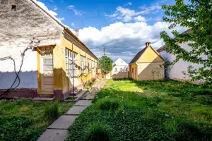 Vând casă în Chesinț, com. Zăbrani, jud. Arad  2.376 mp teren - imagine 6