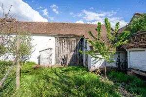 Vând casă în Chesinț, com. Zăbrani, jud. Arad  2.376 mp teren - imagine 8