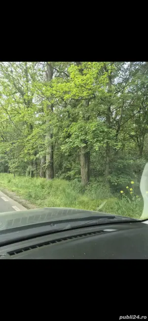 Teren pentru casa Moara Vlăsiei  - imagine 3