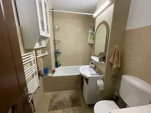 Tudor - Inchiriere apartament 2 camere - Str. Pandurilor - imagine 8