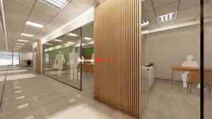 SPATIU COMERCIAL CENTRAL | 261 MP