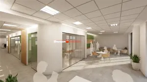 SPATIU COMERCIAL CENTRAL | 261 MP - imagine 8