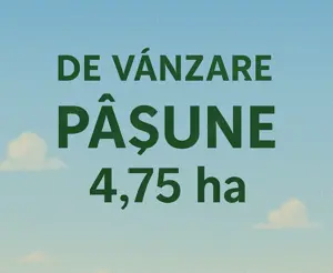 Păsune 4,75 ha + 2,74 ha padure