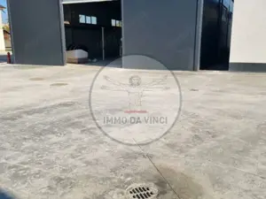 Inchiriem Hale Industriale / locuri de depozitare /birouri - imagine 3