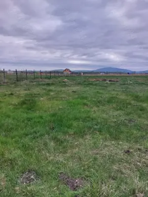 Vând teren intravilan