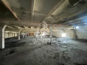 Hala P+E1 3000 mp utili, teren 2788, Dumbravita - imagine 5