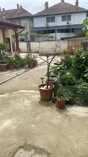 Cameră de închiriat   Lugoj, zona centrală